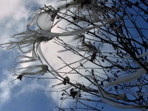 Salzammergut 2024, Solastalgia