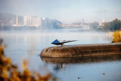 Kaunas 2022, Mitinio zveries skulptura